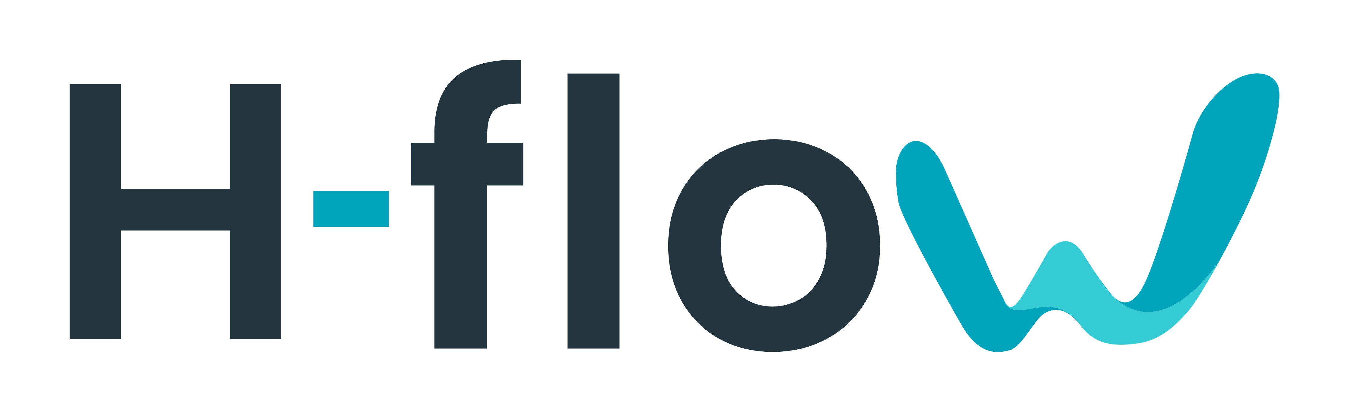 H-flow